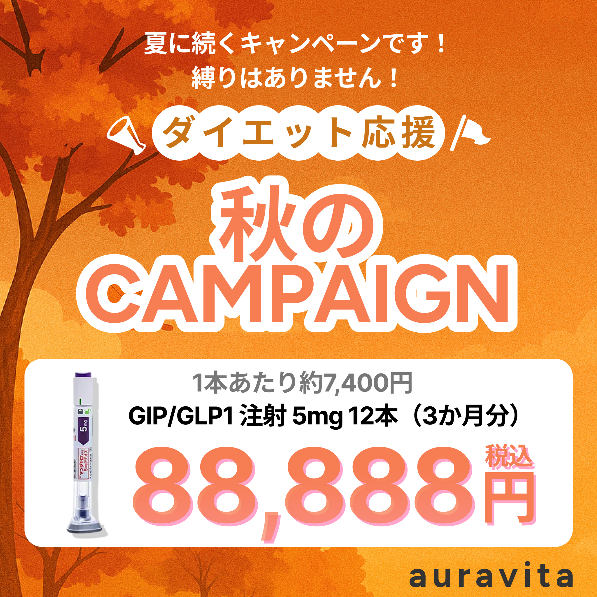 GIP/GLP1注射5mg 12本 88,888円