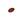 ビタミンブレンド | Wakasapri for Pro.
