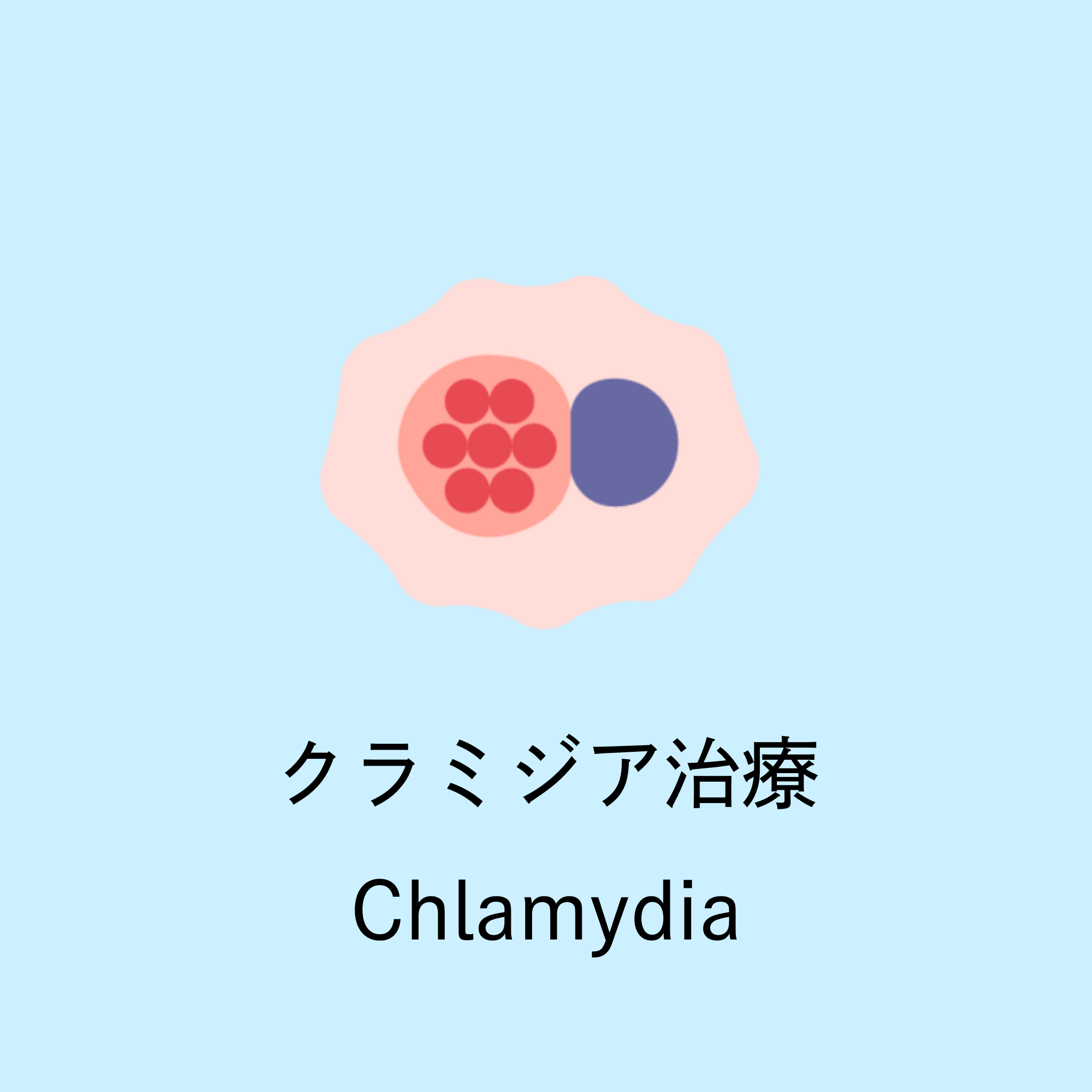 Illustration of Chlamydia bacteria with Japanese text 