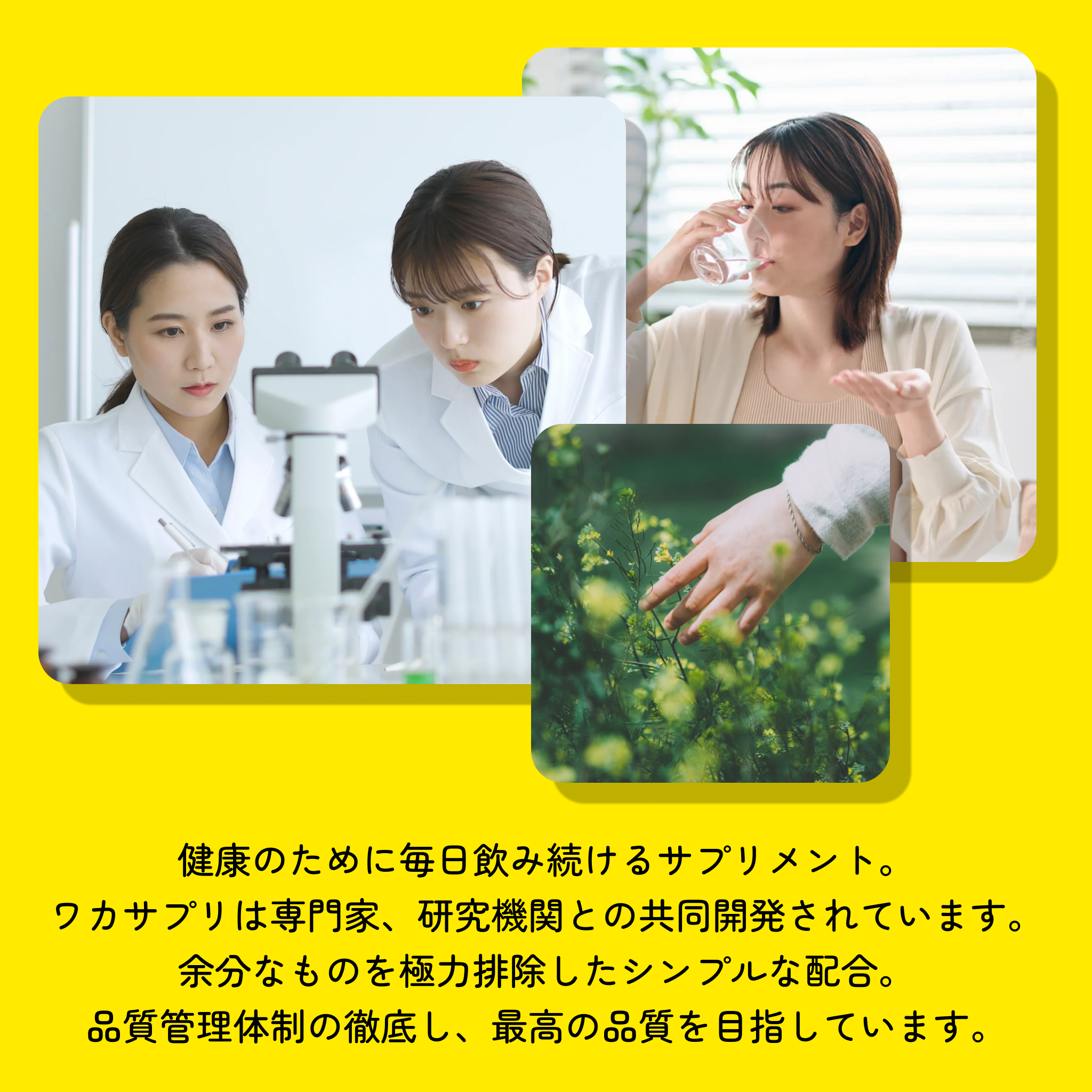 GIP/GLP1注射2.5mg＋ワカサプリ キャンペーンセット